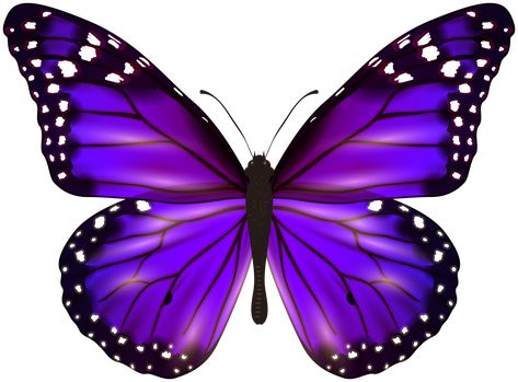 Purple Butterfly Wallpaper, Butterfly Png, Beautiful Butterfly Photography, Best Friend Drawings, Cartoon Butterfly, Butterfly Art Painting, Butterfly Template, Butterfly Printable, Emoji Art