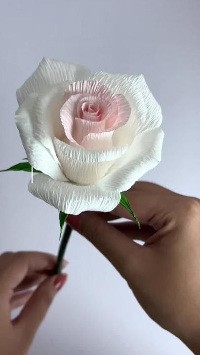 links to materials posted on my profile! #crepepaperflower #paperflowe... | cartotecnica paper | TikTok Flori Din Lut, Crepe Paper Crafts, Pola Manik, Handmade Flowers Fabric, Handmade Paper Crafts, Crepe Paper Flowers, Handmade Flowers Paper, Tissue Paper Flowers, Paper Flowers Craft