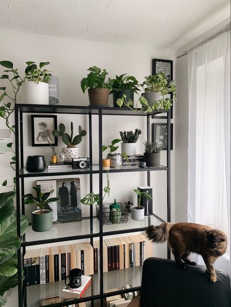 Vittsjo Styling Living Rooms, Vittsjo Decor, Bookshelf And Plants, Ikea Vittsjo Styling, Vittsjo Plants, Ikea Shelf Styling, Vittsjo Shelf Styling, Vittsjo Living Room, Room Inspo Dark Furniture