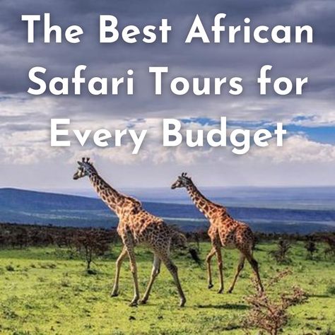 Going on an African safari is a once-in-a-lifetime experience. But for most travelers, it’s hard to decide where to go and what type of safari to book. Do you want to go to South Africa, Kenya, or Tanzania? Should you book a game drive or a luxury African safari tour? How do you find the best African safari tours available? To help make your decision easier, we’ve put together a list of the best African Safari tours. Whether you’re looking to spend a couple hundred or a couple thousand, we have Zanzibar Africa, Travel To Africa, Africa Itinerary, Zanzibar Travel, Luxury African Safari, Namibia Travel, Zanzibar Beaches, South Africa Safari, Africa Adventure