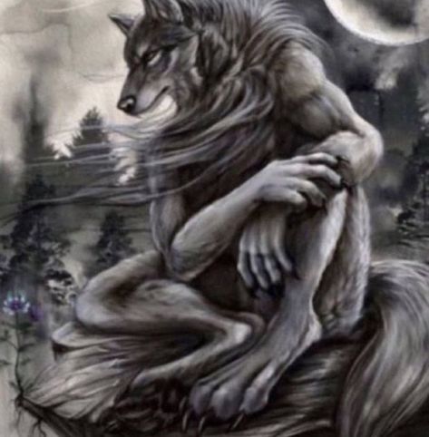 Lobo Meme, Wolf Sitting, Wolf Meme, Alpha Werewolf, Wolf Images, Alpha Wolf, Sigma Male, Wolf Pictures, Lone Wolf