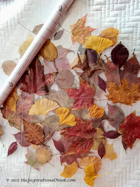 Simple Fall Crafts For Adults, Fall Leaves Crafts Preschool, Leaves Arts And Crafts, Fall Leaf Collage, Fall Leaves Crafts, Crafts With Leaves, Leaf Garland Diy, Leaf Craft Ideas, Leaf Suncatchers