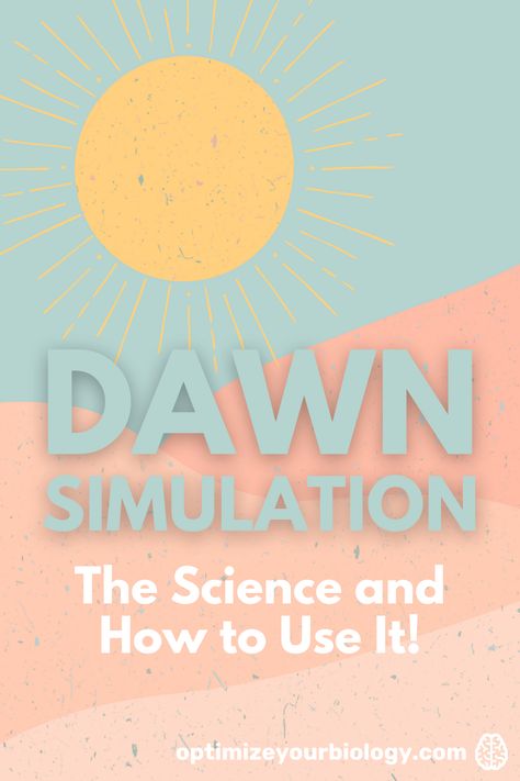 If you aren't using a sunrise alarm clock yet, what gives?! Dawn simulation has a multitude of proven scientific benefits including being just as effective as standard bright light therapy, improving sleep inertia and cognition after waking, aligning your circadian rhythm, and more! Sleep Optimization, Sleep Inertia, Improving Sleep, Sunrise Alarm, Sunrise Alarm Clock, Morning Rose, Alarm Clocks, Cortisol Levels, Circadian Rhythm