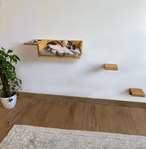 "➜This multifunctional cat bed and food rack is designed to ensure your pet's comfort and convenience. Thanks to the wooden wall shelves, your cats can sleep comfortably high up and feed easily from the food shelf compartments. It can be easily installed with its floating hanger and you don't need to drill any holes during installation.  ➜Available in brown, beige and gray for the cushion and walnut, oak and pine for the wood. Includes removable and washable cushions. An ideal choice for those w Cat Feeding Shelf, Floating Cat Shelves, Food Shelf, Wooden Wall Shelf, Shelf Hardware, Shelf Floating, Wooden Wall Shelves, Cat Shelves, Wood Cat