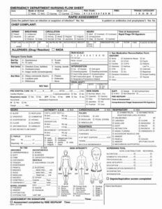 School Cheat Sheets, Nurse Brain Sheet, Nursing Cheat Sheet, Nurse Report Sheet, Nursing Cheat, Nursing Information, Nursing Assessment, Nursing Mnemonics, Nurse Midwife