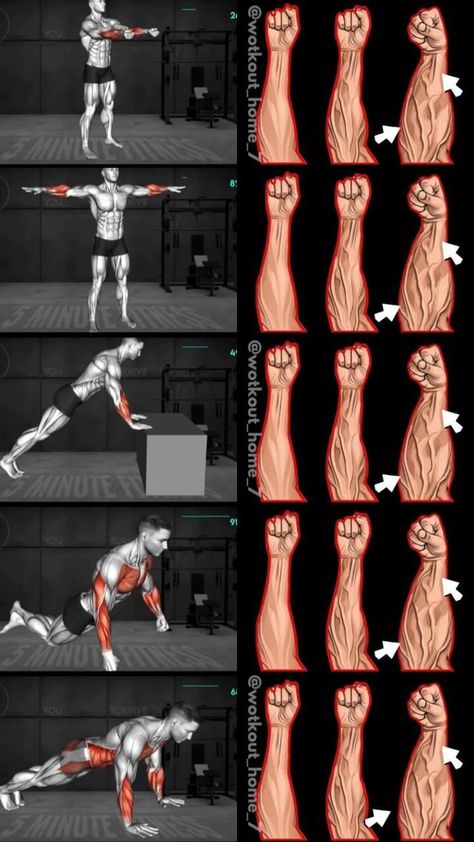 Health and fitness (@healthand4494) on Threads Hands Workout, Back Pain Workout, Glutes Workouts, Traps Workout, Workout Back, Wrist Exercises, Workout Home, Hand Exercises, Bodybuilding Workout Plan