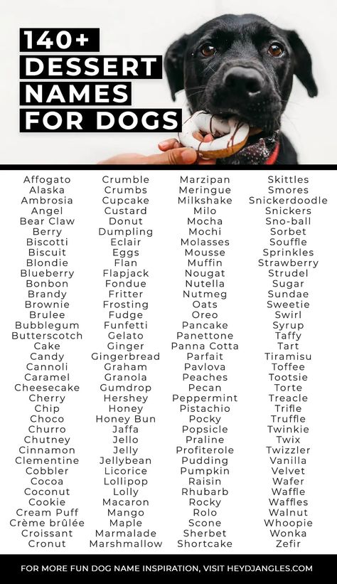 140+ Dreamy Dessert Names for Dogs - Hey, Djangles. Strawberry Name Ideas, Food Pet Names, Food Names Ideas, Food Dog Names, Food Names For Dogs, Brown Dog Names, Tough Dog Names, Funfetti Pancakes, Panna Cotta Tart