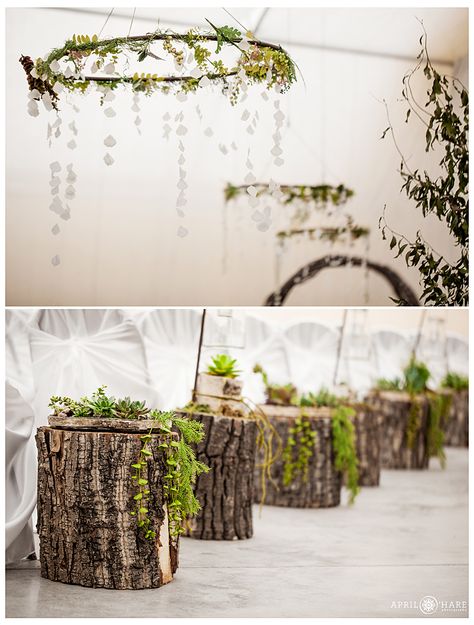 Stump Wedding Decor, Tree Stump Wedding Decor, Wood Stumps, Southern Colorado, Wedding Isles, O Hare, Colorado Wedding Photography, Succulent Wedding, Aisle Decor