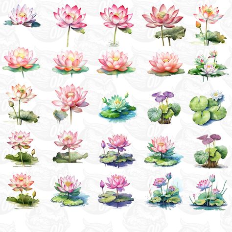 Watercolor Lotus Flower Botanical Clipart Cute Lily Pad Pond - Etsy Lotus Pond Watercolor, Lily Pads Tattoo, Lily Pads Drawing, Lilypad Drawing, Lotus On Water, Lily Pad Tattoo, Waterlily Tattoos, Lily Pad Drawing, Ponyo Aesthetic