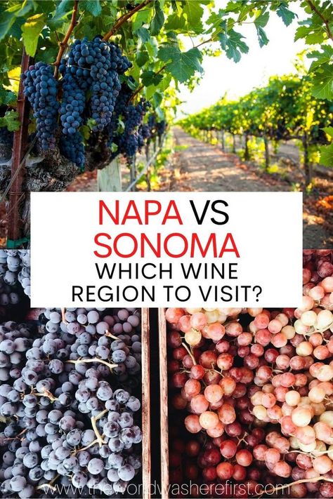 Can't decide whether to visit Napa vs Sonoma? Read this guide to find out which wine region is right for you! Napa Valley Trip, Napa Trip, Sonoma California, Napa California, Wine Country California, California Wine, Wine Travel, Wine Region, California Travel