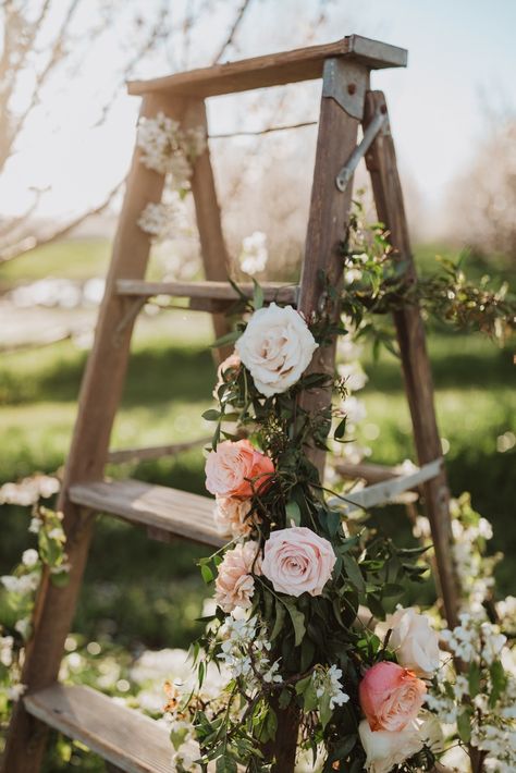 Simple Mini Session Ideas, Flower Ladder Photoshoot, Ladder With Flowers Photoshoot, Old Ladder Photoshoot, Wedding Ladder Decor, Ladder Photoshoot Photo Ideas, Ladder Flower Decor, Wood Ladder Wedding Decor, Ladder With Flowers