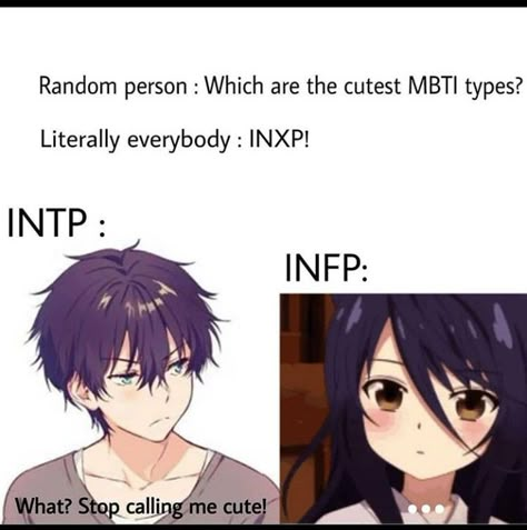 Infp Intp Relationship, Intp T Personality, Intp X Infp, Infp Anime, Intp Relationships, Infp Intp, Infp T Personality, Infp Relationships, Infp Personality Type