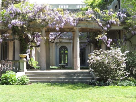 Van Vleck House & Gardens, Montclair, N.J,. wisteria vine...subject of watercolor sketching class.  New spring/summer plein air painting classes list coming soon.  visit my website Chinese Wisteria, Wisteria Vine, Sullivans Island, Indiana Dunes, Eureka Springs, House Museum, House Room, Wisteria, Plan A