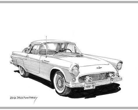 Thunderbird Animal, Cartoon Vehicles, Thunderbird Car, 1956 Ford Thunderbird, Rolls Royce Car, Ink Pen Art, Car Prints, Cars Design, Car Drawing