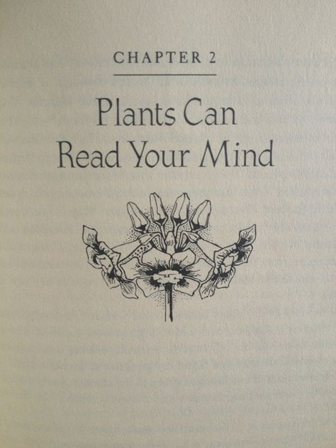 Plants can read your minds Eurythmics Sweet Dreams, The Adventure Zone, Little Shop Of Horrors, Night Vale, Inside Job, Poison Ivy, Gotham City, The Words, Hogwarts