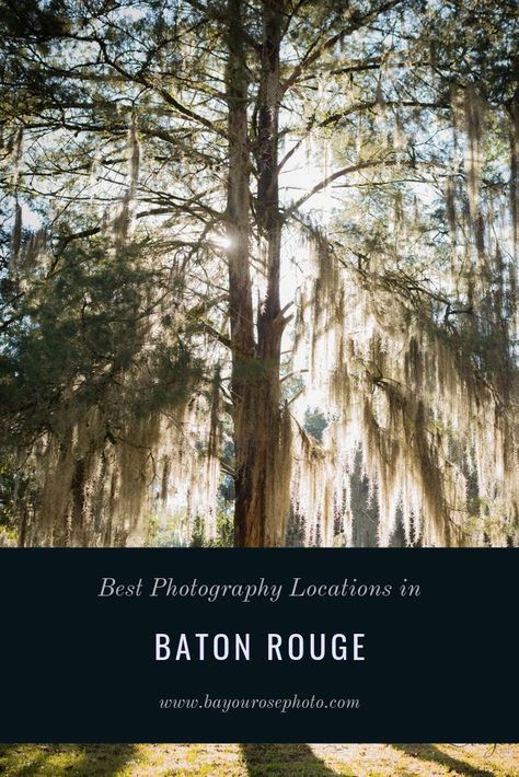 Great locations near Baton Rouge Louisiana for bridal, engagement, and family photos.   engagement photos ideas | engagement photography poses| engagement photos summer | engagement photos sunset | engagement photoshoot ideas creative | photography poses family | family photo outfits fall | bridal photography ideas | bridal photos #batonrougephotographer #engagementphotography #familyphotography Baton Rouge Engagement Photos, Baton Rouge Photography Locations, Bayou Engagement Photos, Engagement Photos Louisiana, Crew Photoshoot, Monarch Wedding, Bridal Photography Ideas, Downtown Baton Rouge, Louisiana Photography