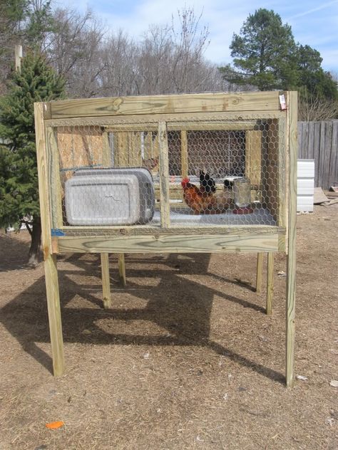 Pheasant housing Pheasant Coop, Animal Homes, Ring Necked Pheasant, Dog Run, Bird Houses Diy, Dog Runs, Dog Images, Animal House, A Cross