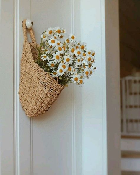 Chamomile Aesthetic, Nowruz Table, Plants Are Friends, Daisy Love, Romantic Homes, Floral Illustrations, Flower Child, Flower Basket