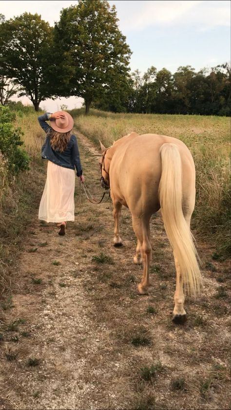 Senior Horse Photography, Horse Shoot, Horse Photoshoot Ideas, Equine Photography Poses, Fall Field, Horse Photoshoot, Horse Photography Poses, Pictures With Horses, Western Photoshoot