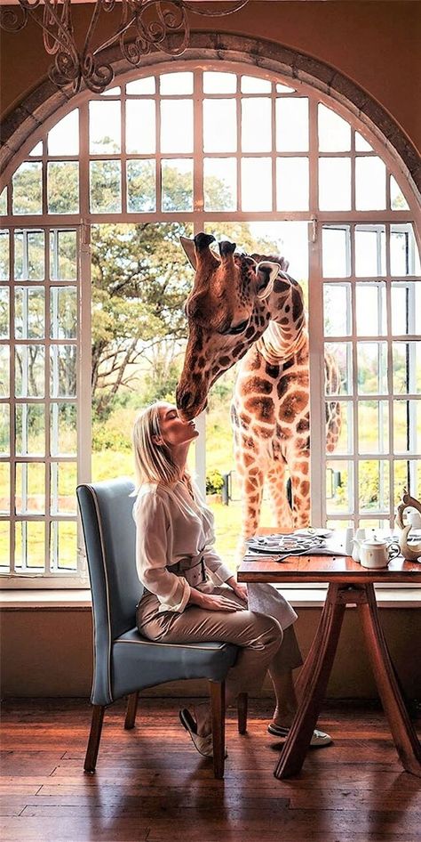 Giraffe Hotel, Giraffe Manor, Giraffe Pictures, Kenya Travel, Africa Do Sul, A Giraffe, Out Of Africa, Dream Travel Destinations, Beautiful Places In The World