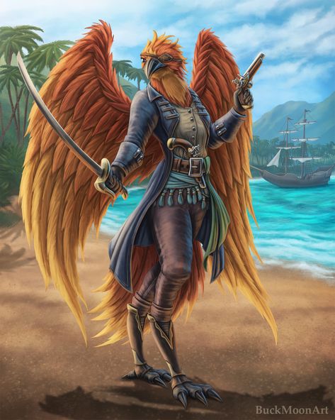 Aarakocra Pirate, Phoenix Aarakocra, Aarokakra Dnd, Pirate D&d, D&d Pirate, Aarakocra Female, Human Dnd Character, Pirate Dnd Character, Dnd Pirate Art