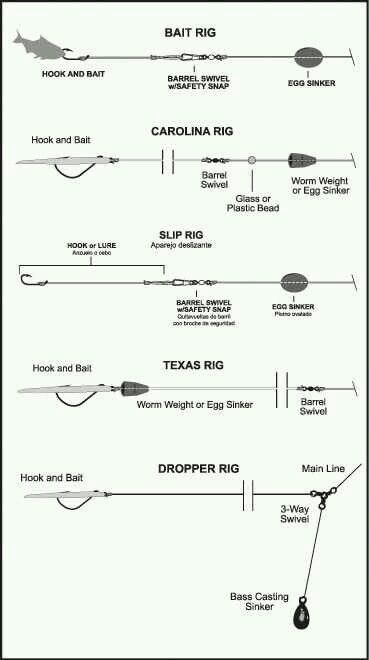 Fishing rigs Pesca In Mare, Saltwater Fishing Lures, Kayak Fishing Gear, Salt Water Fishing, Bass Fishing Tips, Surf Fishing, Fishing Rigs, Crappie Fishing, Fishing Techniques