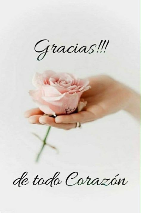 Spanish Thank You, Thank You Quotes Gratitude, Thank You Messages Gratitude, Best Wishes Messages, Thank You Wishes, Words Of Appreciation, Happy Birthday Celebration, Spanish Inspirational Quotes, Thank You Quotes