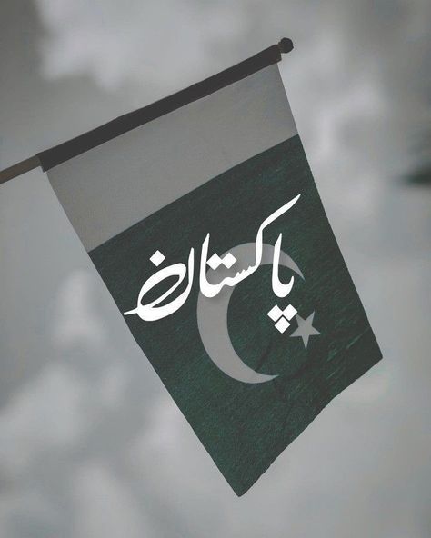 Pak Army Dp, Pakistan Quotes, Images For Facebook Profile, Pakistan Pictures, Happy Independence Day Pakistan, Pakistani Flag, Pakistan Art, Happy Birthday Status, Pakistan Culture