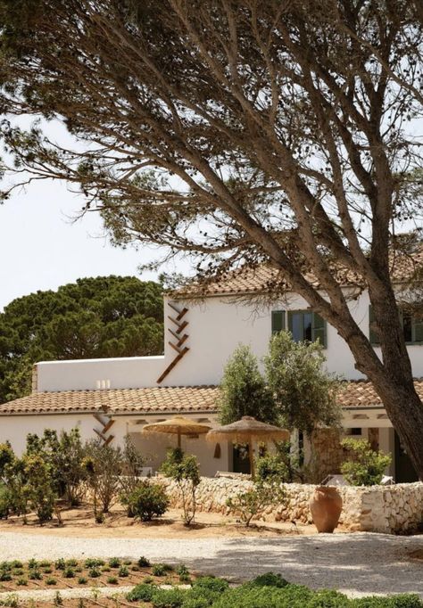 Menorca Experimental, Spain | KOBU Juniper Shrub, Wood Plank Flooring, Hiking Guide, Dry Stone, Stone Path, Terracotta Tiles, Balearic Islands, Menorca, Pebble Beach