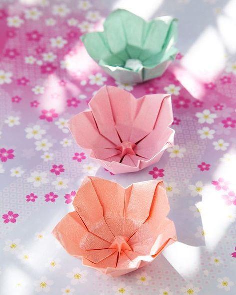 Origami Flower Bowls 🌸 diagrams will be in my new book ‘Kawaii Origami’, which is available to pre-order at paperkawaii.com/kawaii-origami 💗 @quartocreates #origami #flower #origamiflower #origamibowl #kawaiiorigami #kawaii #paperkawaii #paperfolding Kawaii Origami, Origami Kutu, Origami Box Tutorial, Origami Flowers Tutorial, Paper Kawaii, Box Origami, Origami Projects, Origami Star Box, Origami Ball