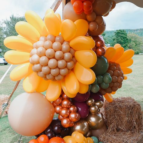 Shaw Fest 2024! 🍂🍁 Was one for the books! We are super excited for fall! This event was packed with Sunflowers 🌻, Ceiling Garlands & a bunch of fall activities. We are super grateful to be apart of this event ✨ #balloongarland #balloondecor #falldecor #fallvibes #fallfestival #shawfest #eventdesign #eventdecor #sunflowers Fall Festival Balloon Arch, Festival Balloon Arch, Sunflower Balloon Arch, Balloon Arch Entrance, Fall Balloon Arch, Sunflower Balloon, Thanksgiving Balloons, Excited For Fall, Fall Activities