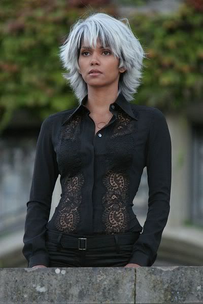 Halle Berry Storm, Hally Berry, X Men Storm, Ororo Munroe, Hairstyle Gallery, Halle Berry, Grey Hair, Silver Hair, White Hair