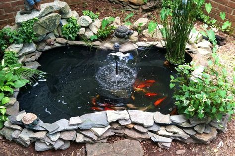 Diy Goldfish Pond, Outdoor Fish Ponds, Small Fish Pond, Fish Ponds Backyard, Small Backyard Ponds, Koi Pond Design, Fish Pond Gardens, Goldfish Pond, Building A Pond