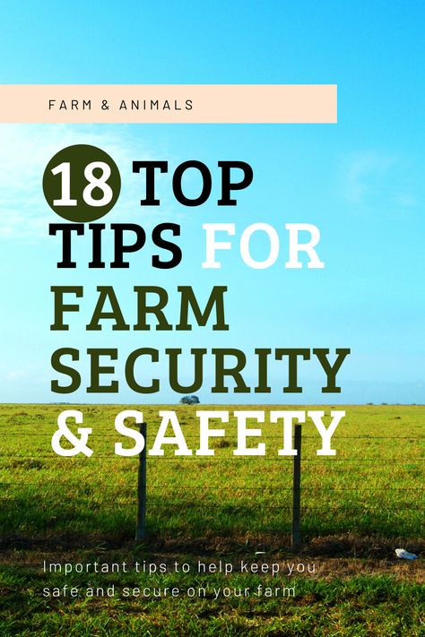 Homestead Security, Equine Property, Property Security, Dream Homestead, Small Homestead, Deer Farm, Starting A Farm, Farm Security, Hobby Farming