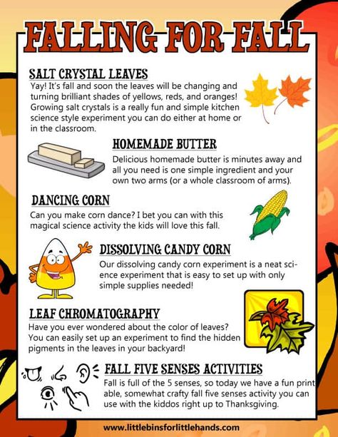 Festive Fall STEM Activities For Kids - Little Bins for Little Hands Fall Stem Activities For Kids, Stem Activities For Preschoolers, Homeschool Fall Activities, Steam Activities Elementary, Thanksgiving Stem Activities, Fall Stem Activities, Simple Stem Activities, Thanksgiving Stem, Stem Activities For Kids