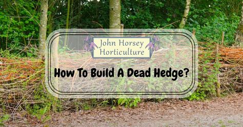 How To Build A Dead Hedge Fence - John Horsey Horticulture Dead Hedge Fence, Hedgerow Fence, Dead Hedge, Hedge Fence, Stock Fencing, Wood Stake, Privacy And Security, Sweet Chestnut, A Lot Of Money