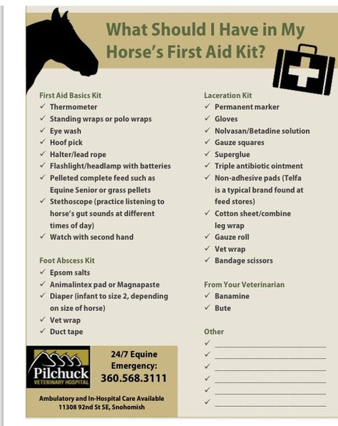 Things to have in a first aid kit for your horse Horse Medical Kit, Horse Grooming Kit Checklist, Equine Medical Kit, Equine First Aid Kit, First Time Horse Owner Checklist, Horse First Aid Kit Checklist, First Horse Checklist, Horse Needs, Horse Checklist