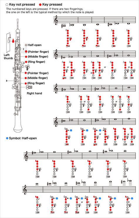 Oboe fingering table Oboe Instrument, Saxophone Fingering Chart, Oboe Music, Oboe Reed, Popular Piano Sheet Music, Music Theory Piano, Music Theory Lessons, Clarinet Music, Clarinet Sheet Music