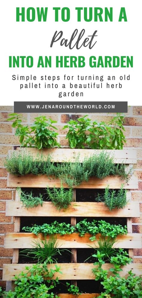 Cerca Natural, Herbs Growing, Herb Garden Pallet, Pallet Projects Garden, Bathroom Organizers, Outdoor Herb Garden, Diy Herb Garden, Vertical Herb Garden, Plants Growing