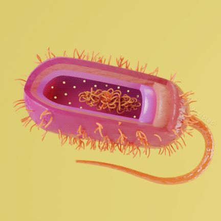 3d Cell, Faith Ringgold, Cell Model, Medical Student Study, Science Illustration, Medical Facts, Brain Science, Medical Studies, Medical Laboratory