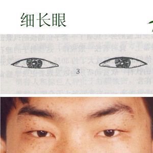 Types Of Asian Eyes, Narrow Eyes, Eye Makeup Guide, Contour With Eyeshadow, Dark Eyeshadow, Magical Makeup, Bun Bun, Types Of Eyes, Thick Eyebrows