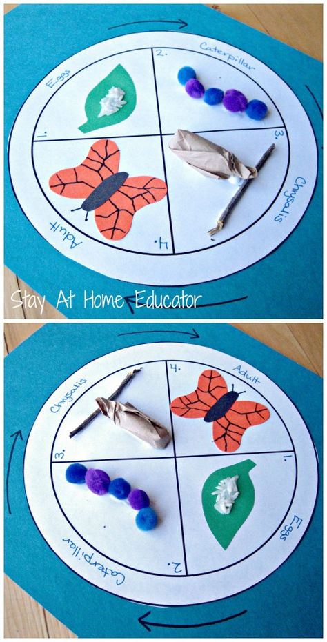 Bugs Activities and Printables Life Cycle Of A Butterfly, Cycle Of A Butterfly, Bug Activities, Butterflies Activities, Bugs Preschool, Butterfly Craft, Spring Preschool, Butterfly Life Cycle, Kindergarten Science