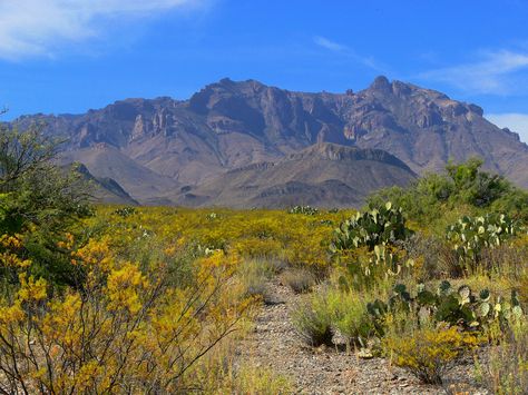 For the Love of Geography: Chihuahuan Desert | Geophilia Photography River Restoration, Desert Paintings, Chihuahuan Desert, Desert Scenes, National Geographic Photography, Guadalupe Mountains National Park, White Sands National Monument, Carlsbad Caverns National Park, American States