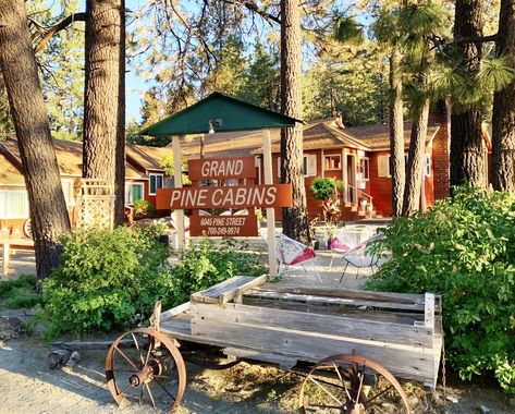 Wrightwood California, Pine Cabin, Bar Garden, Garden Terrace, 1st Night, Quiet Area, Winter Aesthetic, Stay The Night, A Bar