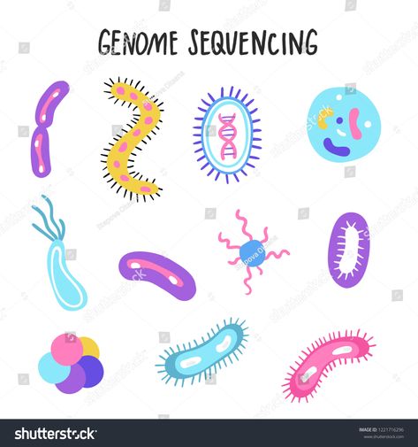 Human Genome Project Poster, Human Genome Project, Dna Sequencing, Genome Sequencing, Illustration Human, Human Genome, Human Dna, Nano Technology, Map Artwork