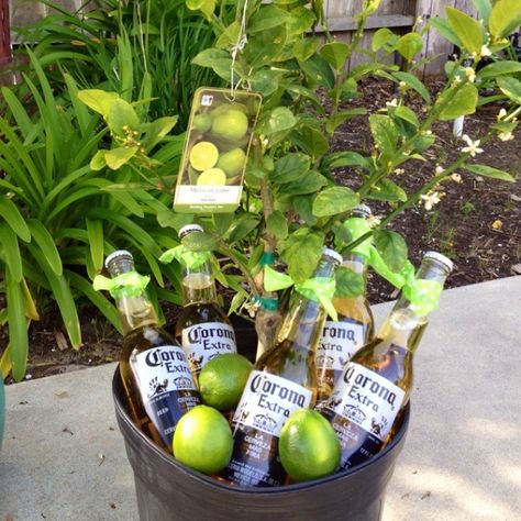 Best housewarming gift. Ever. Put different beer in the bucket though :) Diy House Warming Gift Ideas, Diy House Warming Gift, House Warming Gift Ideas, Beer Basket, Sweet House, Best Housewarming Gifts, Lime Tree, Crafty Gifts, Green Theme