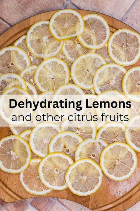 Dehydrating Citrus Slices, Dehydrated Lemons In Dehydrator, Dehydrating Lemons In Dehydrator, Dehydrate Lemon Slices, Dehydrate Lemons, Dehydrating Lemons, Dehydrating Oranges, Canning Citrus, Dehydrated Lemon Slices