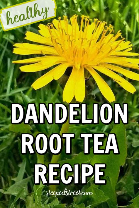 A dandelion flower on a background of green grass. The text reads healthy dandelion root tea recipe. steepedstreet.com Benefits Of Dandelion Root, Dandelion Tea Recipe, Dandelion Benefits, Dandelion Root Tea, Tea For Digestion, Tea For Colds, Herbal Tea Benefits, Herbal Medicine Recipes, Tea Health