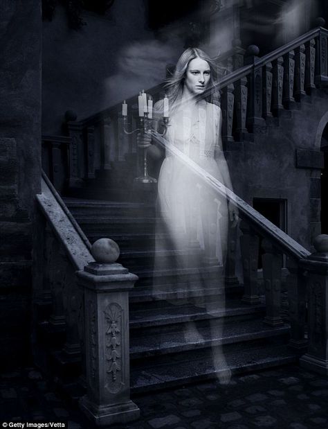 Haunted: A female ghost roams her domain. From the Daily Mail UK Types Of Ghosts, Spirit Ghost, Dark Hallway, Real Ghosts, Ghost Photos, Haunted Places, Lady Grey, Ghost Stories, Natural History