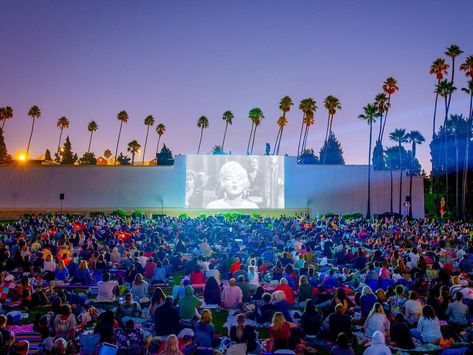 CINESPIA on Instagram: “Photos from #Cinespia’s screening of Some Like It Hot are now posted. Check out our stories or see them all at cinespia.org Thanks to…” Pop Up Cinema, Rooftop Cinema, Outdoor Movie Theater, Sir Cliff Richard, Hollywood Forever Cemetery, Amazing Movies, Movies Under The Stars, Super Movie, Boogie Nights